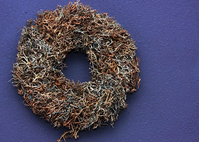 De Remketting Bed and breakfast 3*