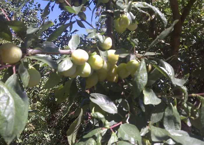 De Remketting 3* Slijk-Ewijk